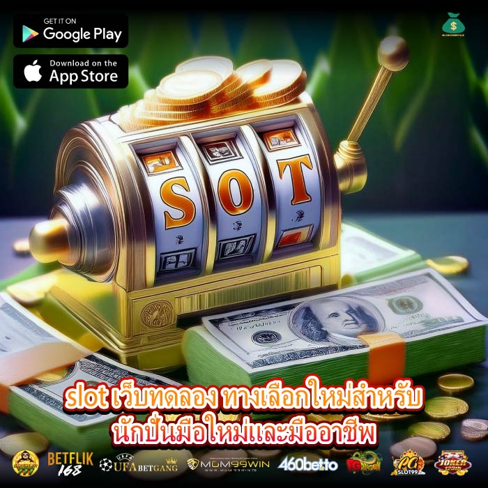 slot เว็บทดลอง ทางเลือกใหม่สำหรับนักปั่นมือใหม่และมืออาชีพ